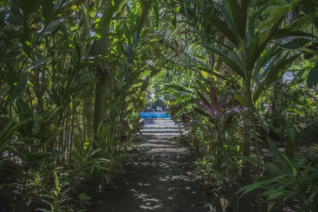 Atlantida Lodge カウイータ エクステリア 写真