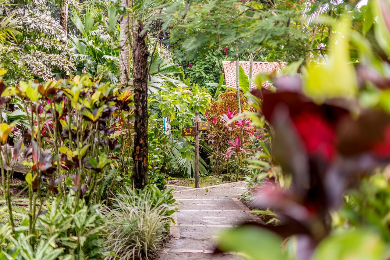 Atlantida Lodge カウイータ エクステリア 写真