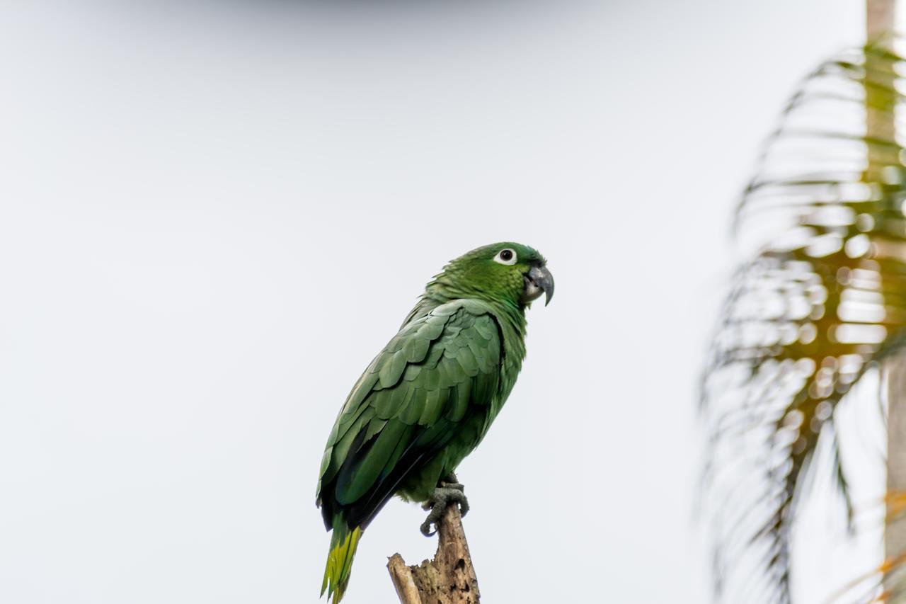 Atlantida Lodge カウイータ エクステリア 写真