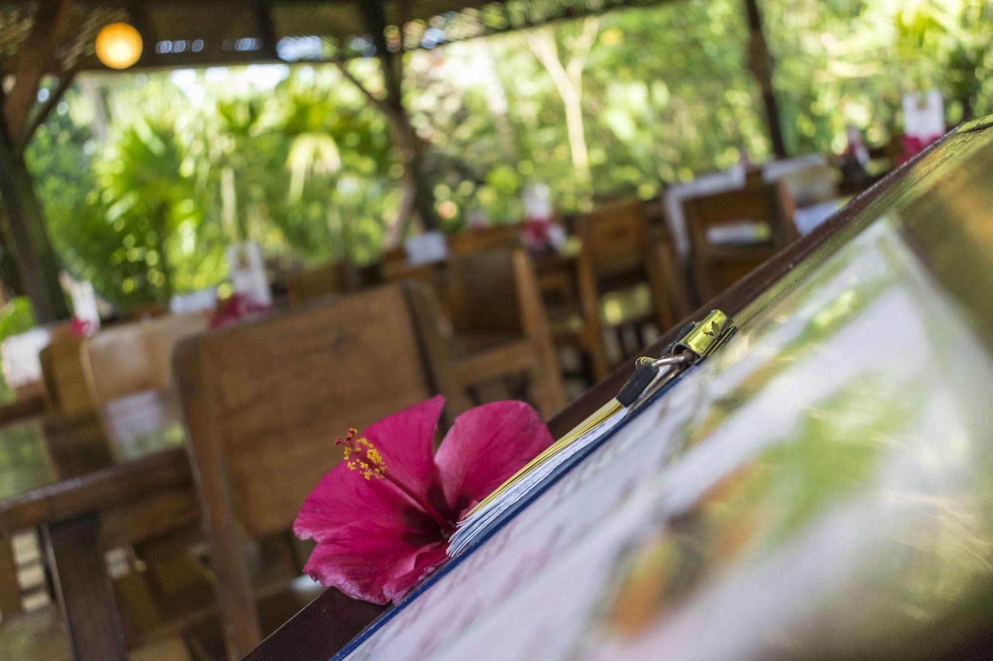 Atlantida Lodge カウイータ エクステリア 写真